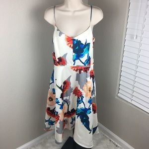 Banana Republic 10p 10 petite NWT Dress tea flare